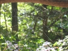PICTURES/Effigy Mounds National Monument/t_Spider Web2.JPG